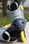 Apex - L-53646.jpg